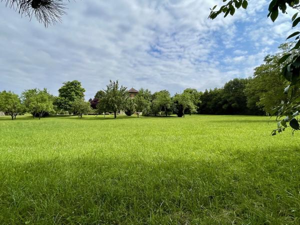 Belle maison de maçon de 220 m2, 4 ch sur 3 ha de terrain plat avec accès rivière