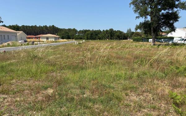 Terrain à vendre    Vielle-Saint-Girons
