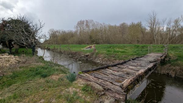 Maison  11 pièce(s)  6 chambre(s)  205 m²