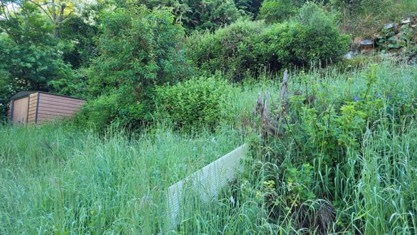 Maison de village avec terrain