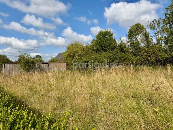 Vente
                Terrain423 m² - TRIBEHOU (50620)
