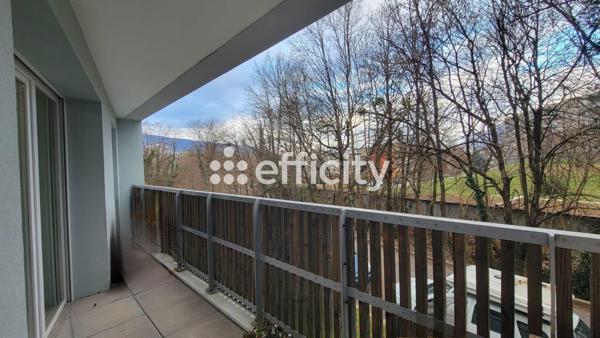 Appartement 2 pièces - 43 m² Exclusivité efficity