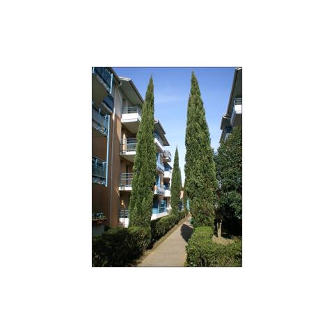 Location appartement 3 pièces 50 m²