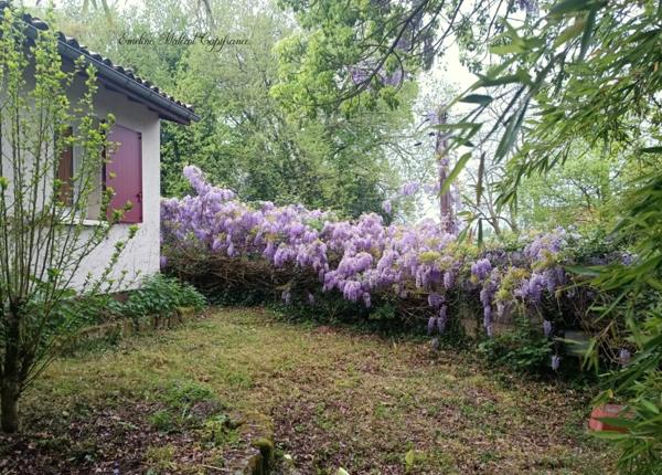 🏡 Maison en pierre 140 m² + jardin – 289 000 €