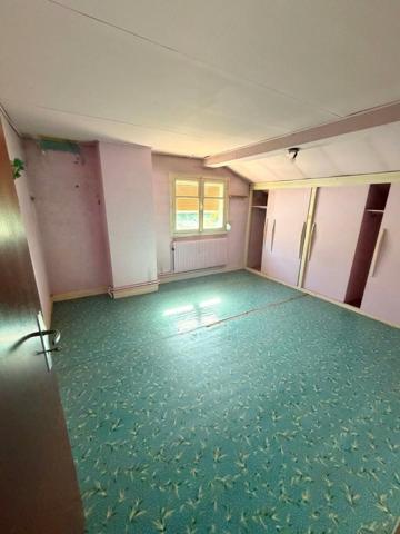 Maison avec beaucoup de charme dans un cadre de vie idéal,  avec grand potentiel aux portes de nancy