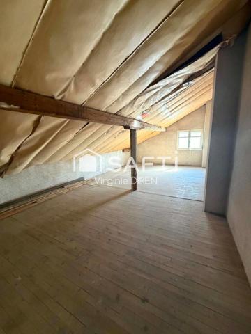 Maison avec beaucoup de charme dans un cadre de vie idéal,  avec grand potentiel aux portes de nancy