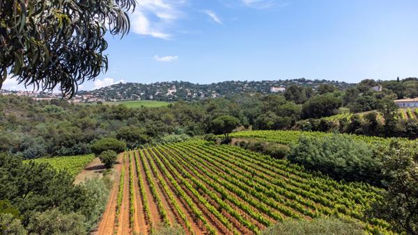 maison à vendre  6 pièces - 140 m2 LA CROIX VALMER - 83