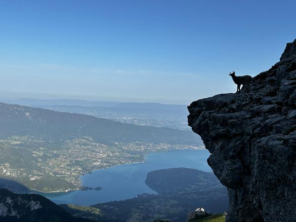 Appartement à vendre à Veyrier-du-Lac (74290) - Haute-Savoie
