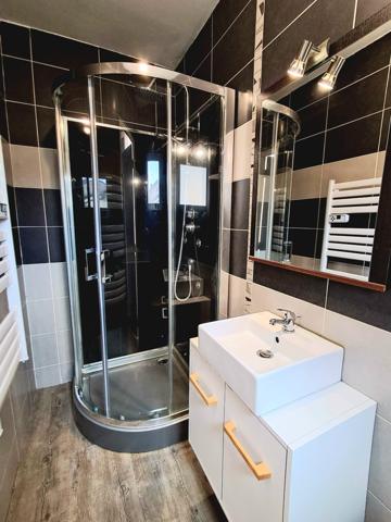 ALBI EST- Grande maison ancienne rénovée avec 4 chambres