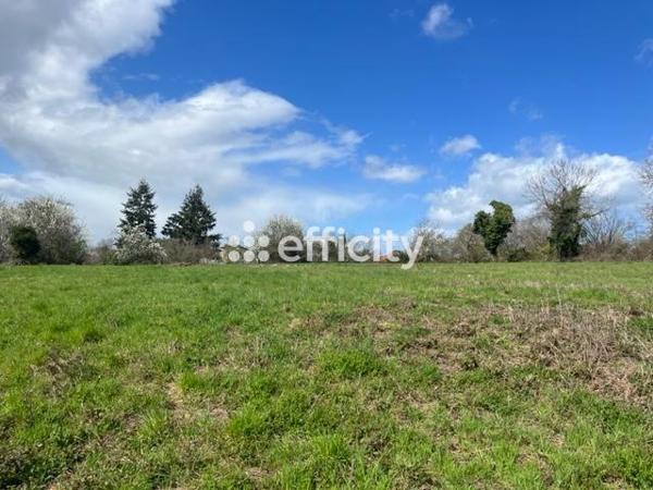 Terrain - 16910 m²