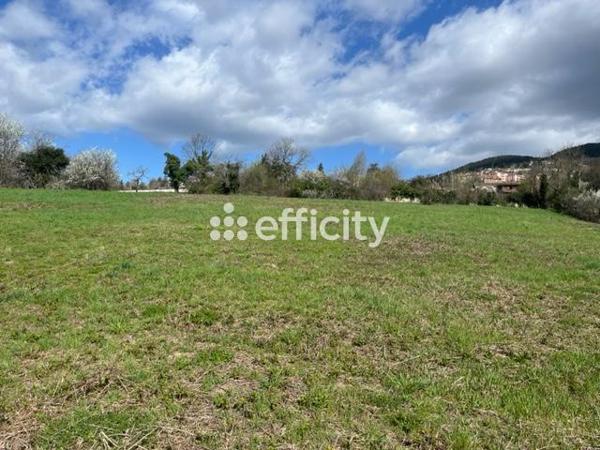 Terrain - 16910 m²