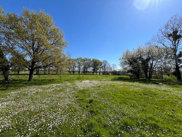 Maison Nouans Les Fontaines 8 pièce(s) 194 m2