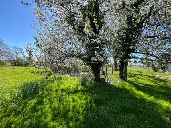 Maison Nouans Les Fontaines 8 pièce(s) 194 m2