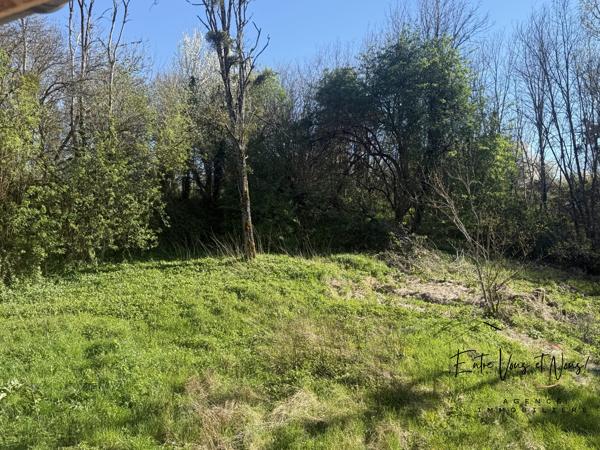 Maison de  142 m² – 6 chambres – Parc de 8000 m² avec atelier et potentiel maraîchage