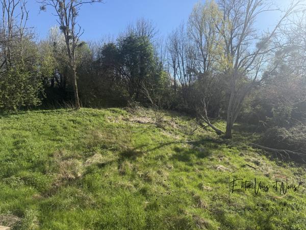 Maison de  142 m² – 6 chambres – Parc de 8000 m² avec atelier et potentiel maraîchage