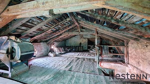 A Vendre Ancien Corps de Ferme à Rénover avec Dépendances, Jardin Vue Pyrénées Secteur Ste Croix Volvestre Environnement Campagne