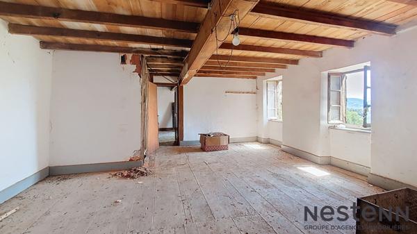 A Vendre Ancien Corps de Ferme à Rénover avec Dépendances, Jardin Vue Pyrénées Secteur Ste Croix Volvestre Environnement Campagne
