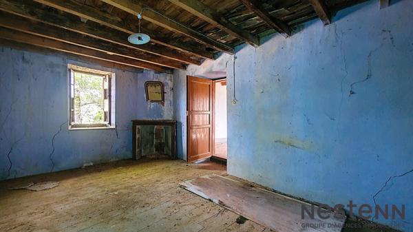 A Vendre Ancien Corps de Ferme à Rénover avec Dépendances, Jardin Vue Pyrénées Secteur Ste Croix Volvestre Environnement Campagne
