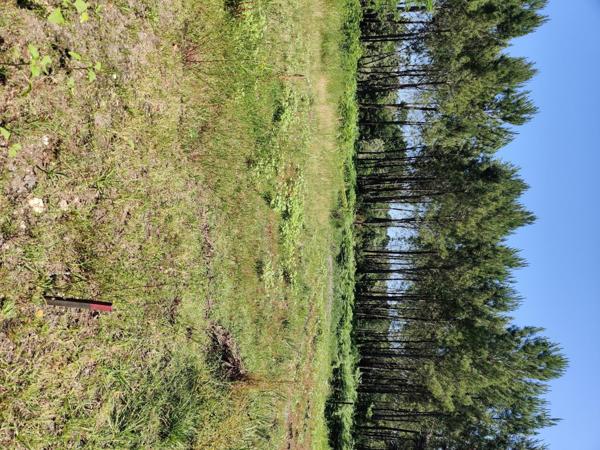 terrain constructible de 1038 M2