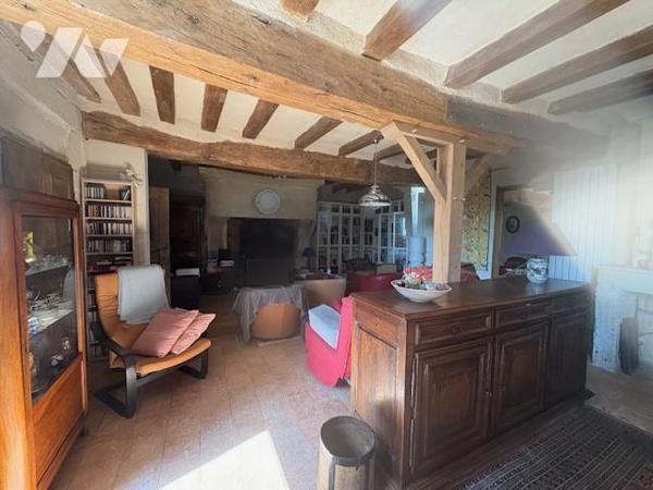 VENTE PROPRIETE SOUZAY CHAMPIGNY