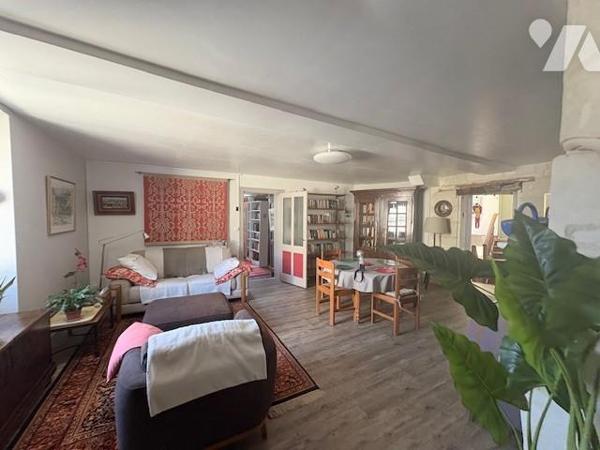 VENTE PROPRIETE SOUZAY CHAMPIGNY