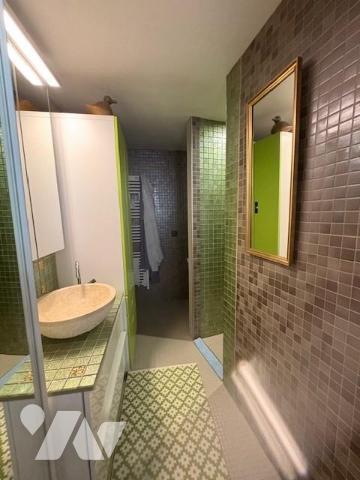 VENTE PROPRIETE SOUZAY CHAMPIGNY