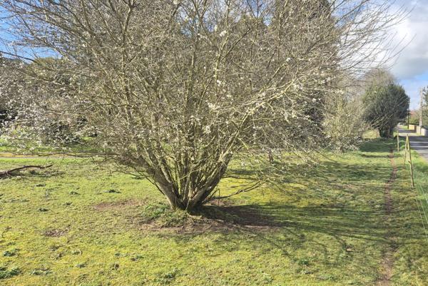 Rosporden (29140) ROSPORDEN Terrain à bâtir de 661 m²