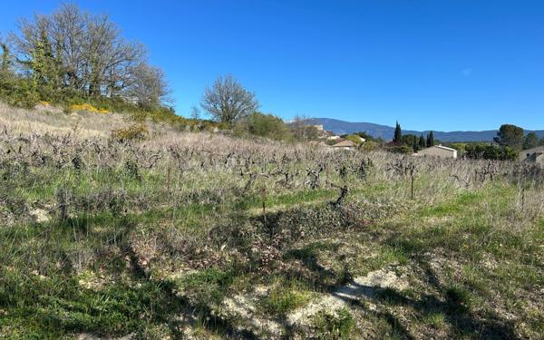 Terrain à vendre    Saint-Marcellin-lès-Vaison