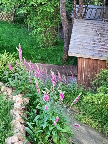 Très belle Maison 3 chambres  1000 M2 Terrain