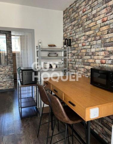 Appartement Nantes 1 pièce(s) - Dalby