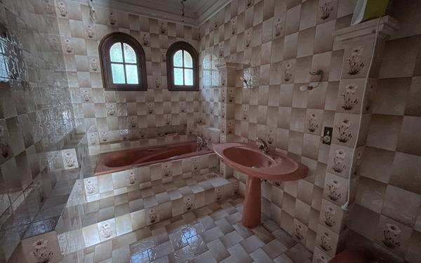 Maison à vendre    6 pièces •  L'Isle-sur-la-Sorgue