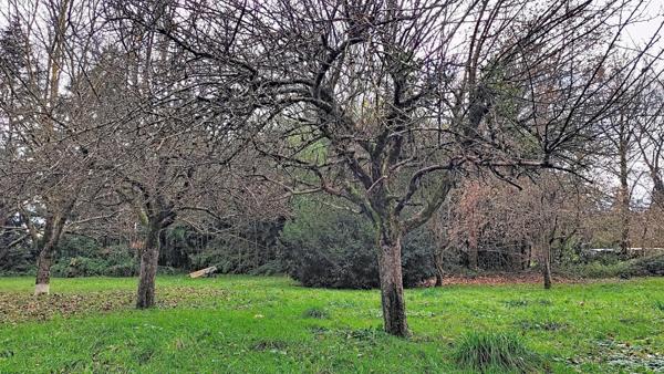 Maison de village avec terrain et dépendances