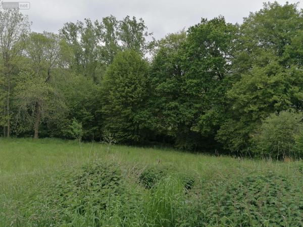 Terrain à Batir à vendre à Saint-Thurial en Ille-et-Vilaine (35310), ref : 35129-4427