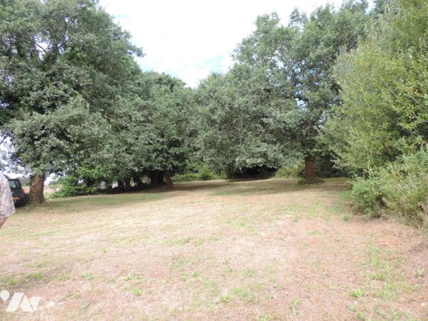 MAISON AVEC HANGARS , PROCHE BOURG DE LA CHAPELLE NEUVE