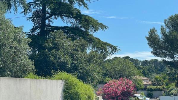 5 chambres + studio et jardin dans secteur prisé