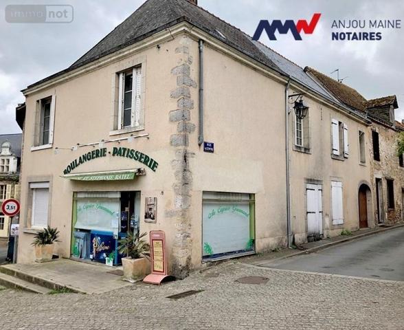 Immeuble à vendre à Parcé-sur-Sarthe dans la Sarthe (72300), ref : 72068-2005