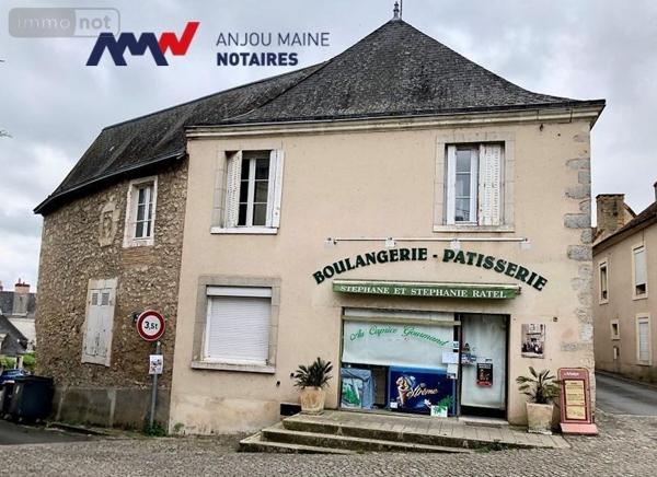 Immeuble à vendre à Parcé-sur-Sarthe dans la Sarthe (72300), ref : 72068-2005