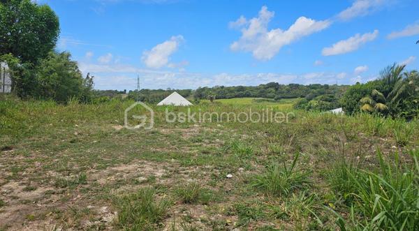 Terrain de 635 m²