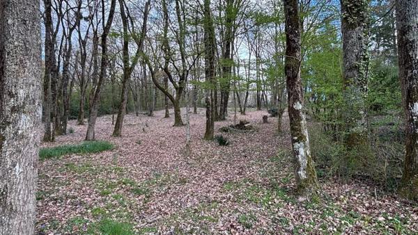 Vente Maison 3 pièces 73 m2 à Langon-sur-Cher