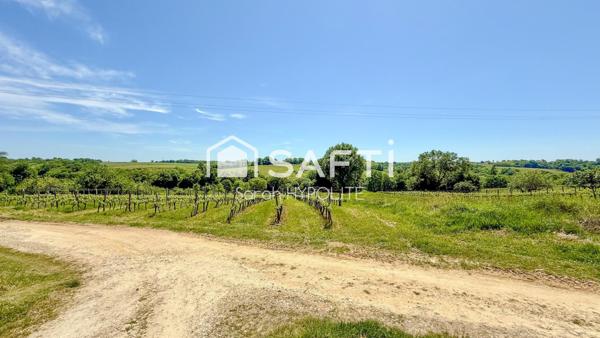 Terrain de 1200 m2 vue sur les vignes