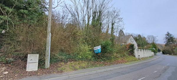 Bois à vendre à Étampes