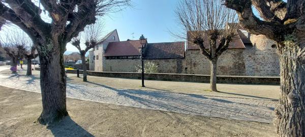 Charmant Duplex  de 92 m², centre ville historique