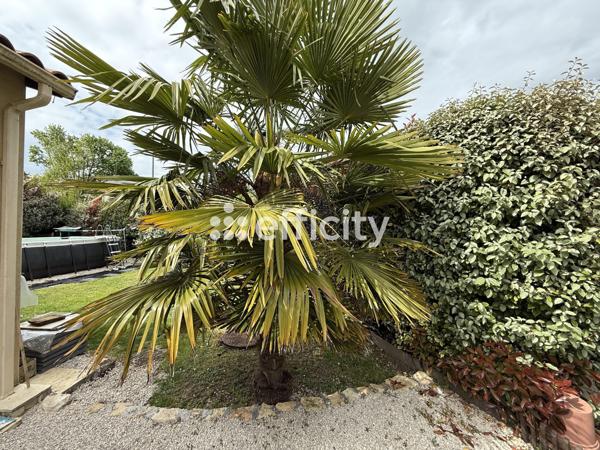 Maison 5 pièces - 117 m² Exclusivité efficity