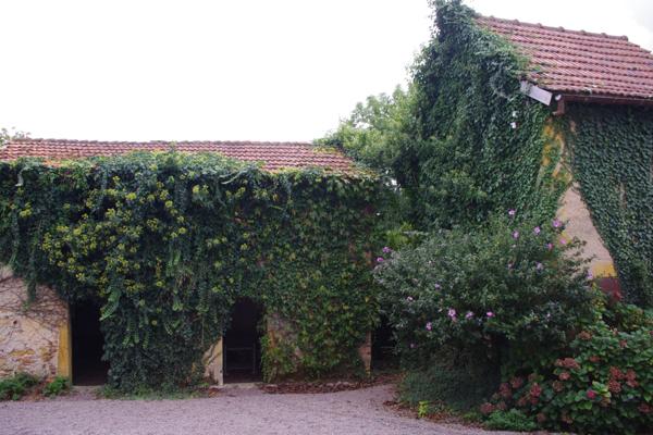 Saint-Pierre-la-Noaille (42190) 7 kms de Charlieu corps de ferme sur 5 hectares