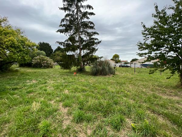 Terrain Arvert 825 m2 utiles | LA TREMBLADE IMMO