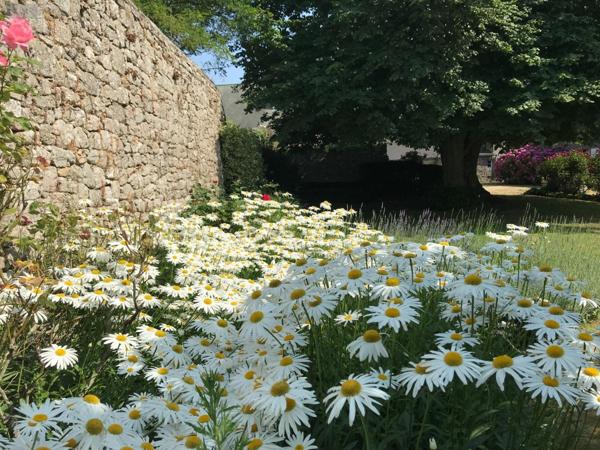 Maison de maître à vendre à Barfleur dans la Manche (50760), ref : 330