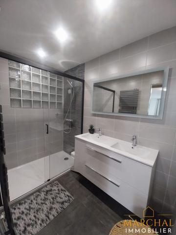 maison + local commercial + hangar