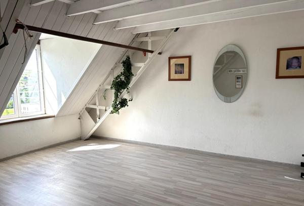 LA TALAUDIERE 42350 Propriété dans une maison de maitre Appartement 454m² 4 chambres
