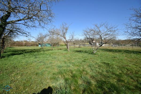 Maison à vendre 7 pièces CHOUZY SUR CISSE (41)