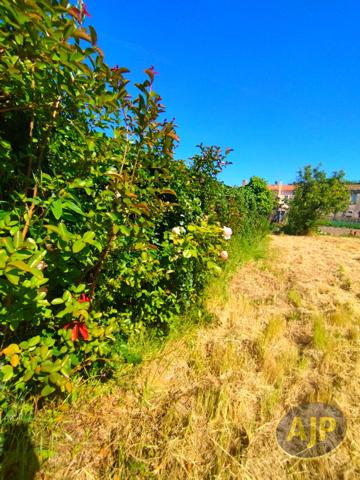 Vente maison Beaufou : 82 000 € - AJP Immobilier Vieillevigne